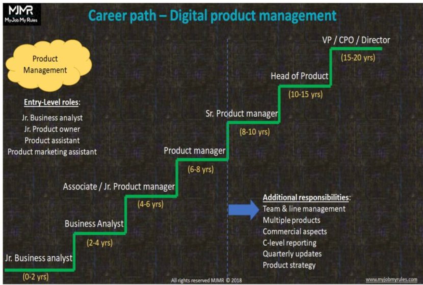 Product manager, Product owner, career, digital product career